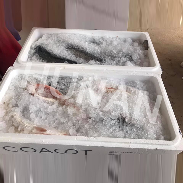 水产冷冻冰冻
